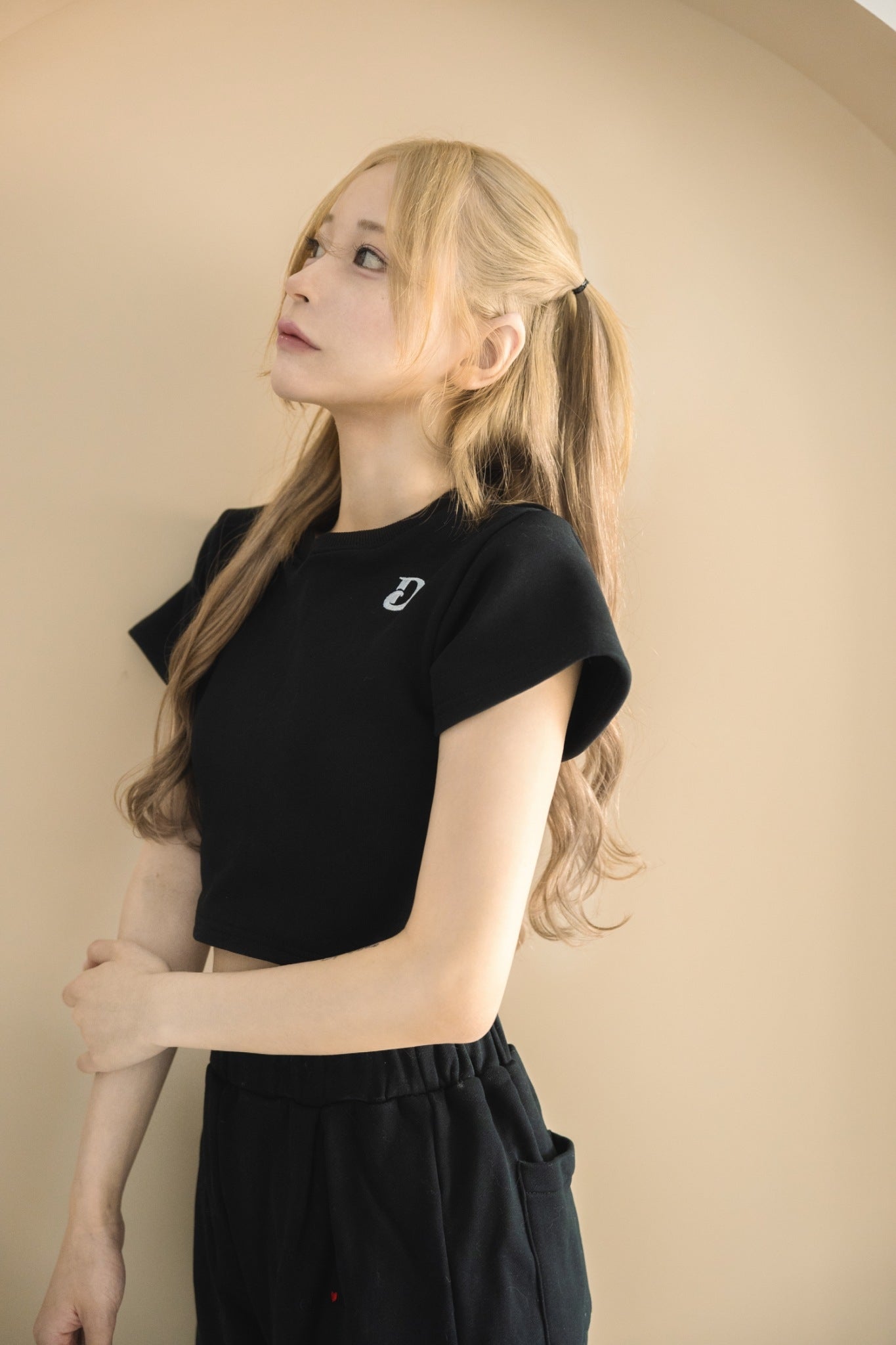 ロゴクロップドTシャツ (ブラック) ロゴクロップドTシャツ (ブラック)
